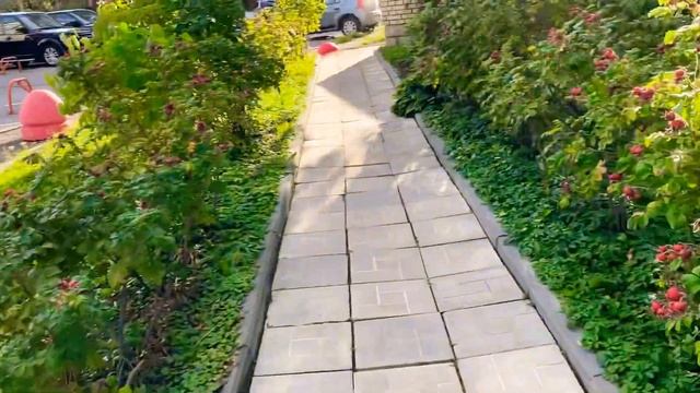 Пошли прогуляться цветочки цветут осенние ирадуют 27.09+18 всем доброго и прекрасного утра смотреть онлайн