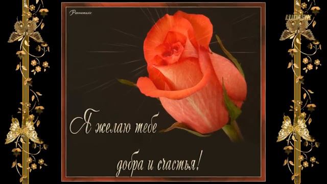 Друзьям желаю счастья ! смотреть онлайн