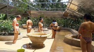 Вьетнам Нячанг. Шикарная экскурсия Эко Парк Дольче Вита.