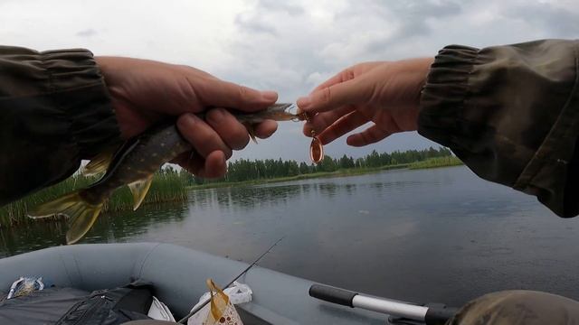 ЖАБОВНИК. ПОИСК РЫБЫ НА ПОПЛА ПОППЕР И MEPPS AGLIA. #отчет2