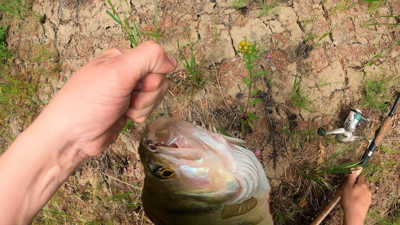 Ловлю здоровенных окуней,Село Юттях,рыбалка