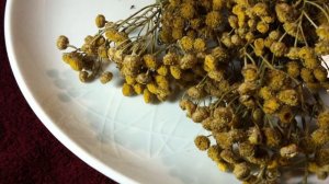 Какие противопоказания есть у пижмы.