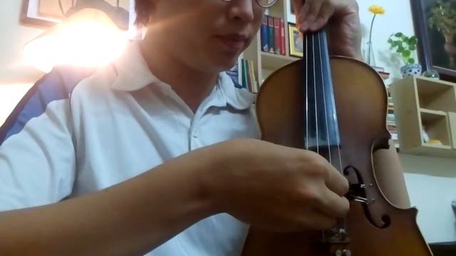 Violin mute