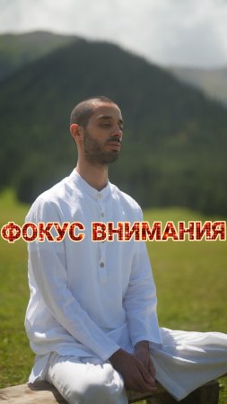 Чему ты уделяешь внимание? Анар Дримс