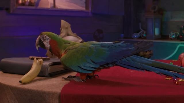 A Message from H смотреть онлайн