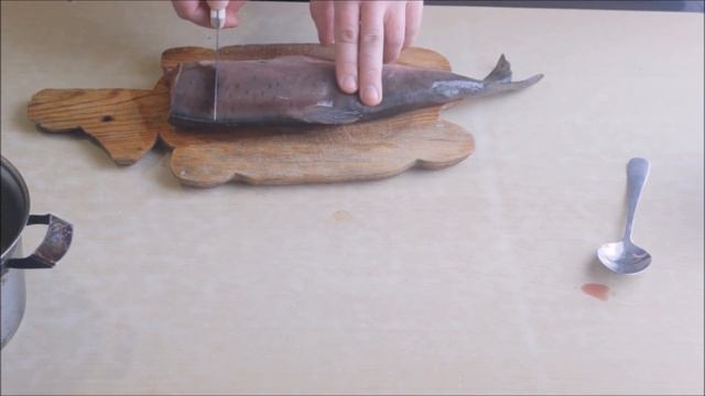 Как посолить горбушу в рассоле