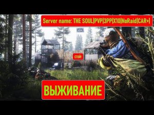 ВЫЖИВАНИЕ НА СЕРВЕРЕ THE SOUL #dayz #dayzstandalone  #skvorzoker