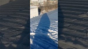 Обшивка крыши ангара