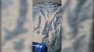 Рубительная машина "Дровосек" (щепорез) мод. ВХ400-мини видеоотчет от покупателя