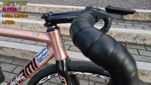 TSUNAMI SNM100 Track Bike(Fixed Gear) ni Earl Adrian Masa