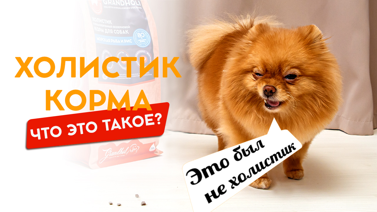 Холистик корма для собак. Что это такое и из чего они должны состоять.