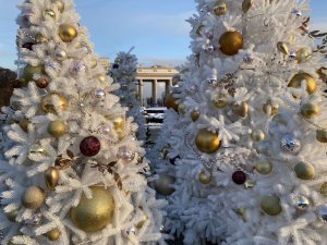 Каток в Парке Горького, фигурное катание, белочки в подарок...