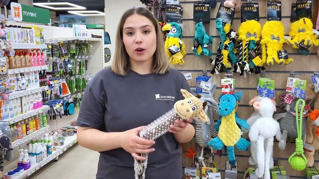 Как выбрать игрушку для щенка? Чем играть с собакой? Выбираем первую игрушку для питомца 🐶 смотреть онлайн