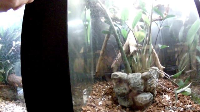 таллинн зоопарк 29.08.2018. часть 5/7 смотреть онлайн