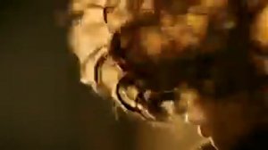 L'Oréal Elnett TV Ad featuring Natasha Poly, Barbara Palvin and Bianka Balti