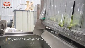 Производство быстрозамороженной брокколи,Оборудование для производства замороженных овощей и фрукто
