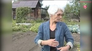 Какие сидераты куда сажать? #urozhainye_gryadki