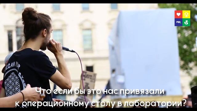 Марш 5 000 веганов смотреть онлайн