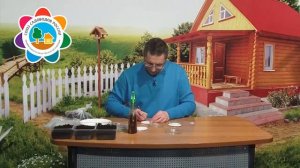Садоводческие лайфхаки Замачивание семян