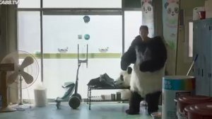 Миссия: Спасти панду