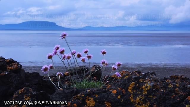 Идрис Абкар. Сура 3 «Семейство Имрана» (65-80) смотреть онлайн
