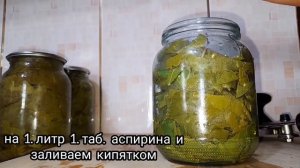 ВИНОГРАДНЫЕ ЛИСТЬЯ НА ЗИМУ!.