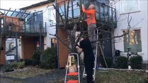 Украшение дерева гирляндой