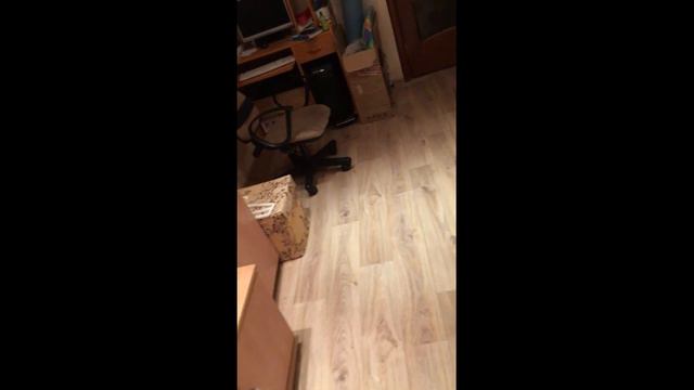 Ж-12 Косплей / J-12 Cosplay Modern Warfare 2019