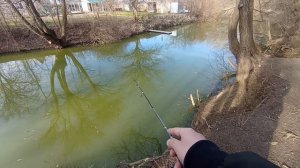 Мормышинг : прогулка с dayo Liropus, тёплым февральским  деньком.