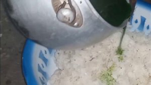 PRAKTEK BIOTEKNOLOGI 22