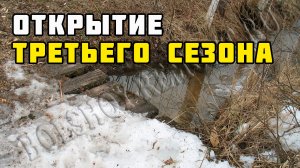 Каркасный дом своими руками | Третий сезон!