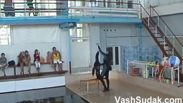 Морской Котик поет Экскурсия из Судака смотреть онлайн