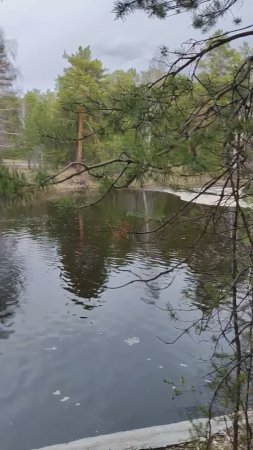 Вдень светлый