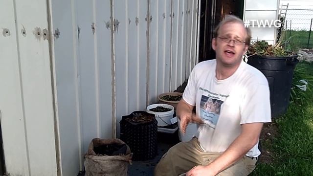 Planting Swiss Chard - Growing in Containers смотреть онлайн