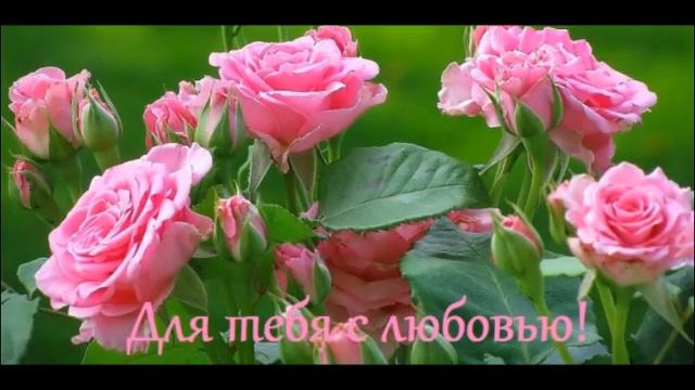 Пожелание доброты и Счастья!