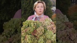 Клуб "Раевский сад" приглашает...