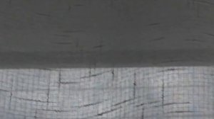 Как летает муха