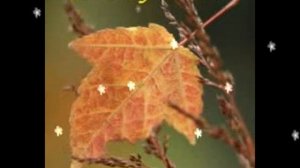 УЧИТЕЛЯ, ВЫ В НАШЕМ СЕРДЦЕ ОСТАЁТЕСЬ НАВСЕГДА!!!