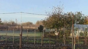 Осень Октябрь. Мульчирование грядок листовым опадом