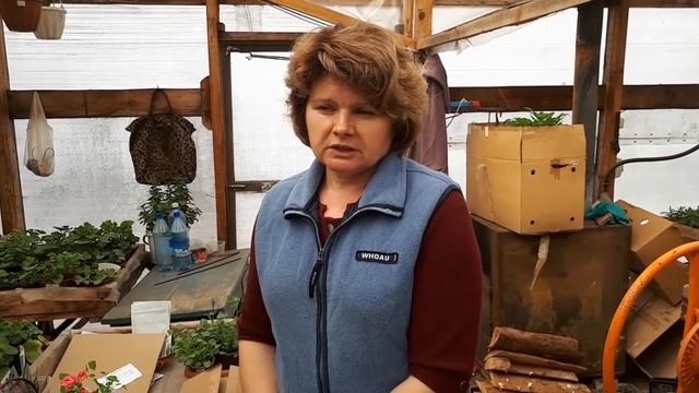 Отправка посылок. Как заказать растения. смотреть онлайн