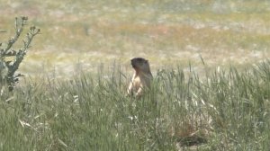 А чё вы тут делаете? Всё вынесли до вас!!