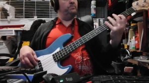 The Beach Boys - California Dreamin' (Didier Cover Bass)