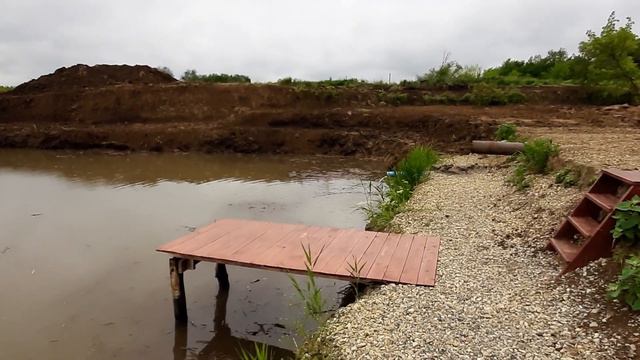 Платная рыбалка, пруд Чёрные камни. 02.06.20г. Запуск карпа. смотреть онлайн