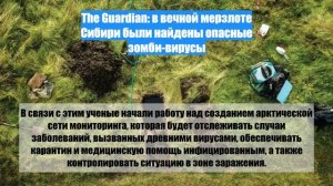 The Guardian: в вечной мерзлоте Сибири были найдены опасные зомби-вирусы