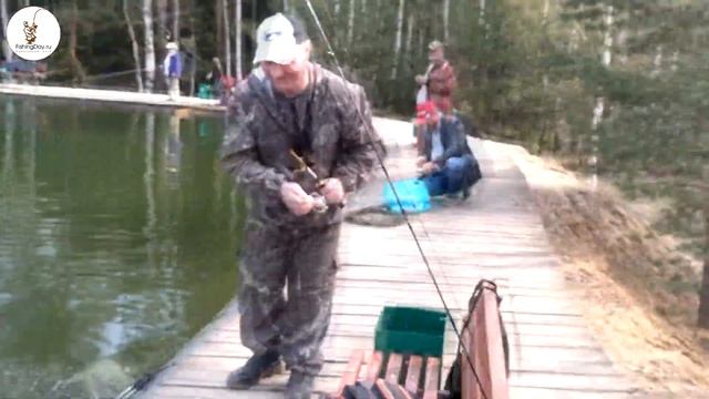 Форель весной на платнике в Алмазово 27 04 2019