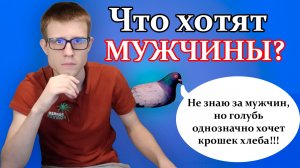 Чего хотят мужчины? О чём мужчины мечтают? Самые главные "хотелки" мужчин!