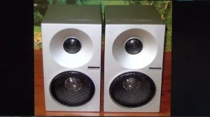 Радиотехника У 101 Ода любви  Обзор