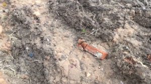 КАК ЭТА МОНЕТА ЗДЕСЬ ОКАЗАЛАСЬ?! Копаю в старой беларускай деревне | Золотое Хобби