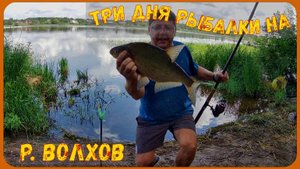 ТРИ ДНЯ РЫБАЛКИ НА р. ВОЛХОВ. 2024.