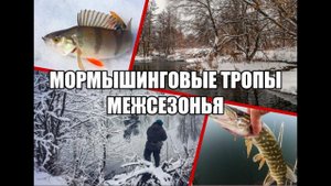 Мормышинговые тропы межсезонья.